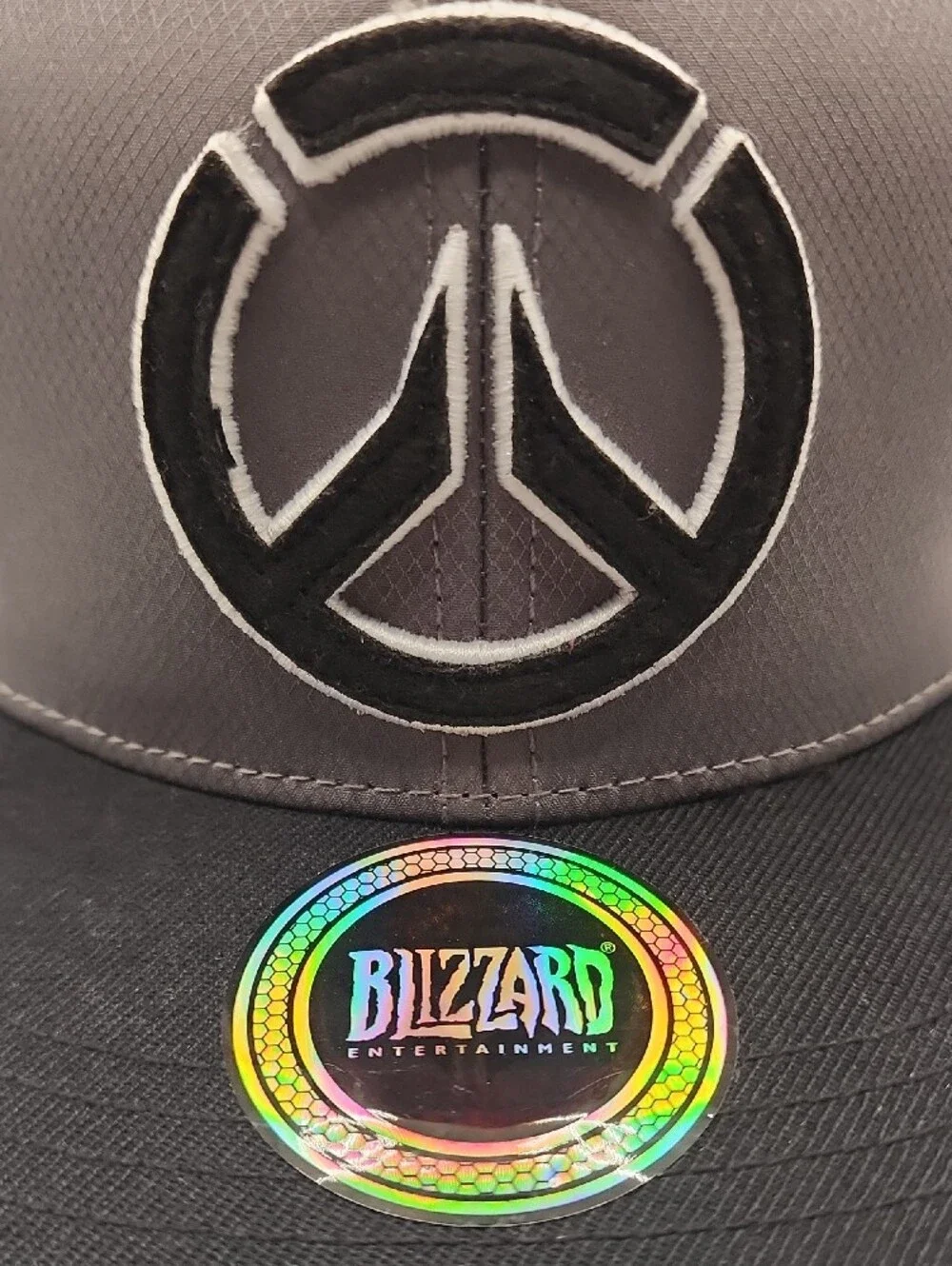 Gray and Black Logo Snapback Hat